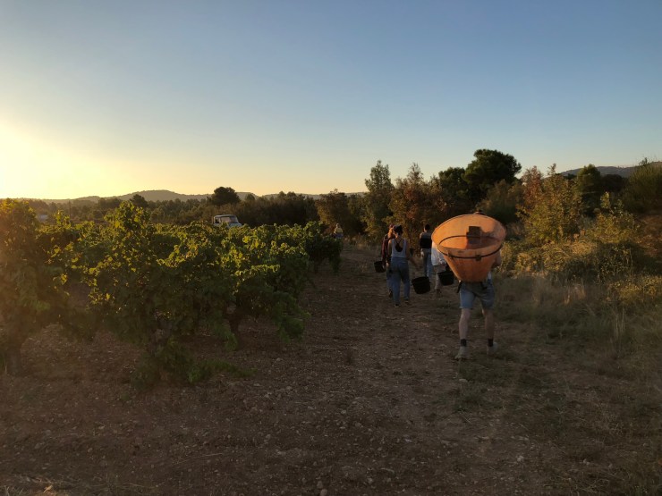 DREKPKfGS0KlH035DPqsfg