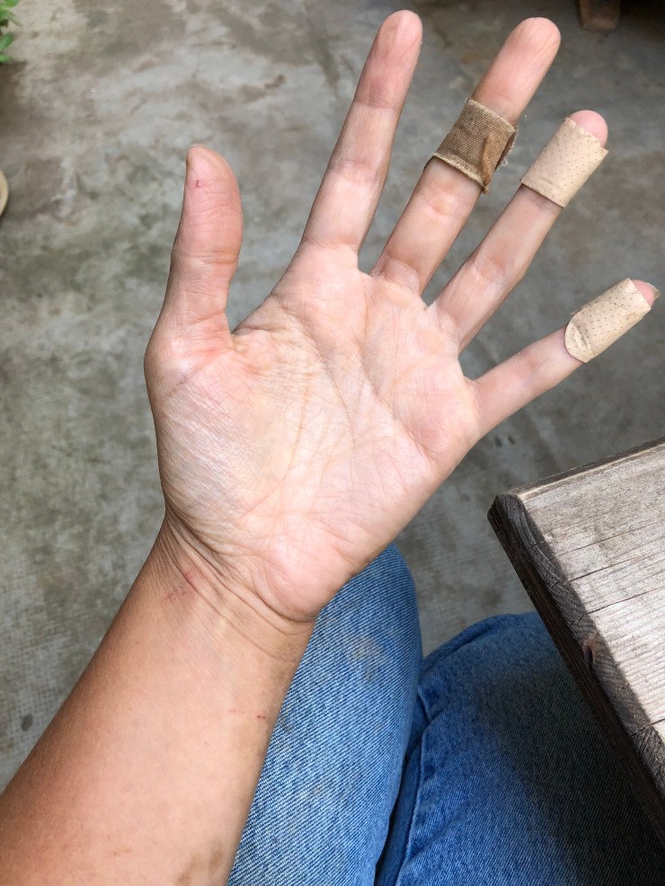 XTEzx6jfQoi0xlCuXNvz1A