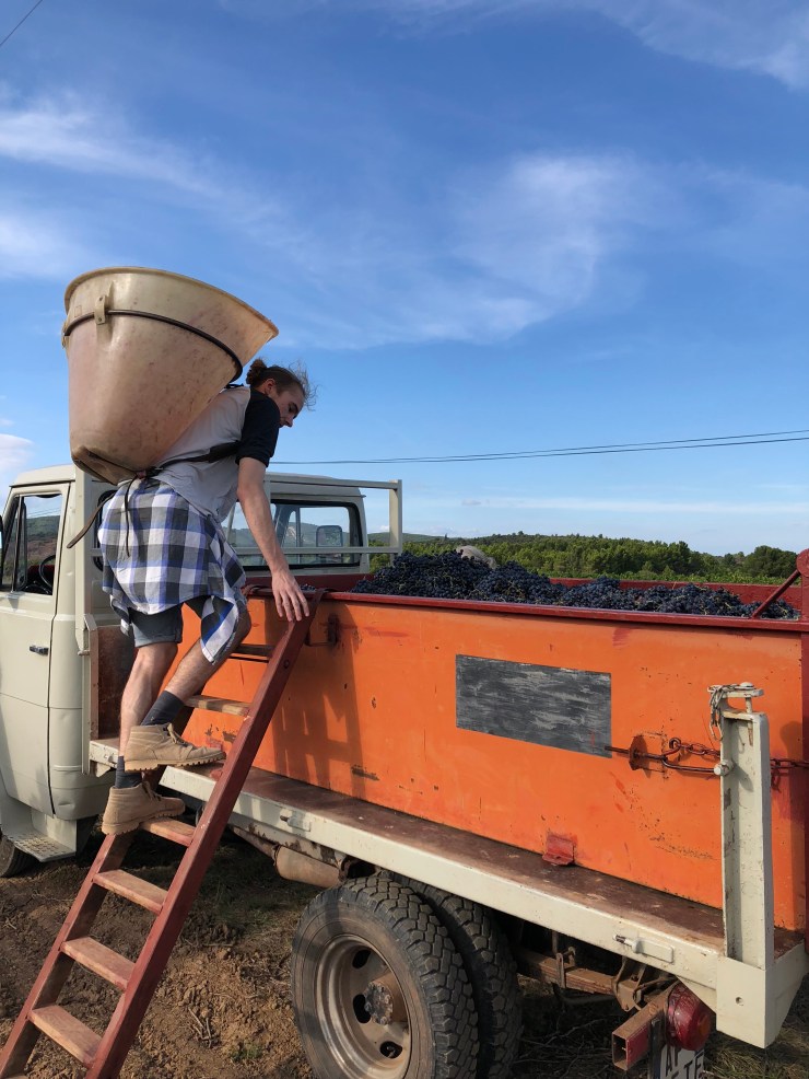 4hatj6%MTJGeN+f4Tew8Jw