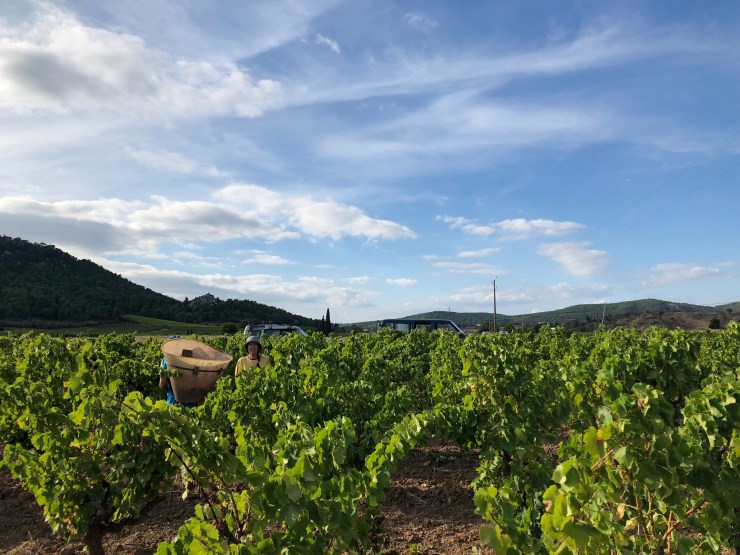 9tL%xwW3Q8WOTeBsBM+YDA