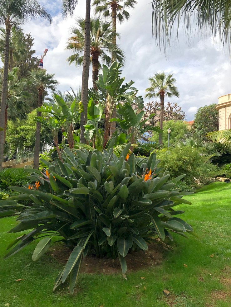 AvzZZtYsRM2sa9zCrKDxzQ