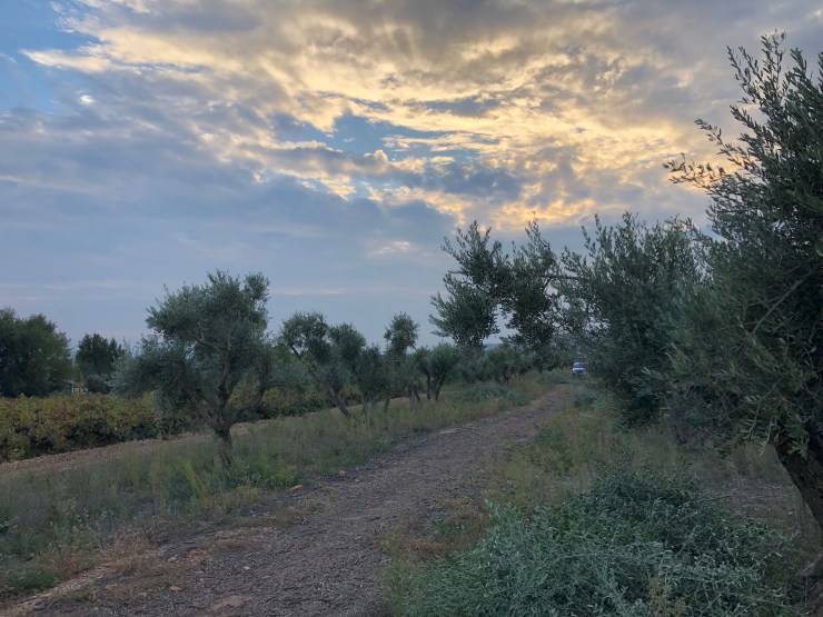 Iwba1TK8RnSPc1S7lBc0TA