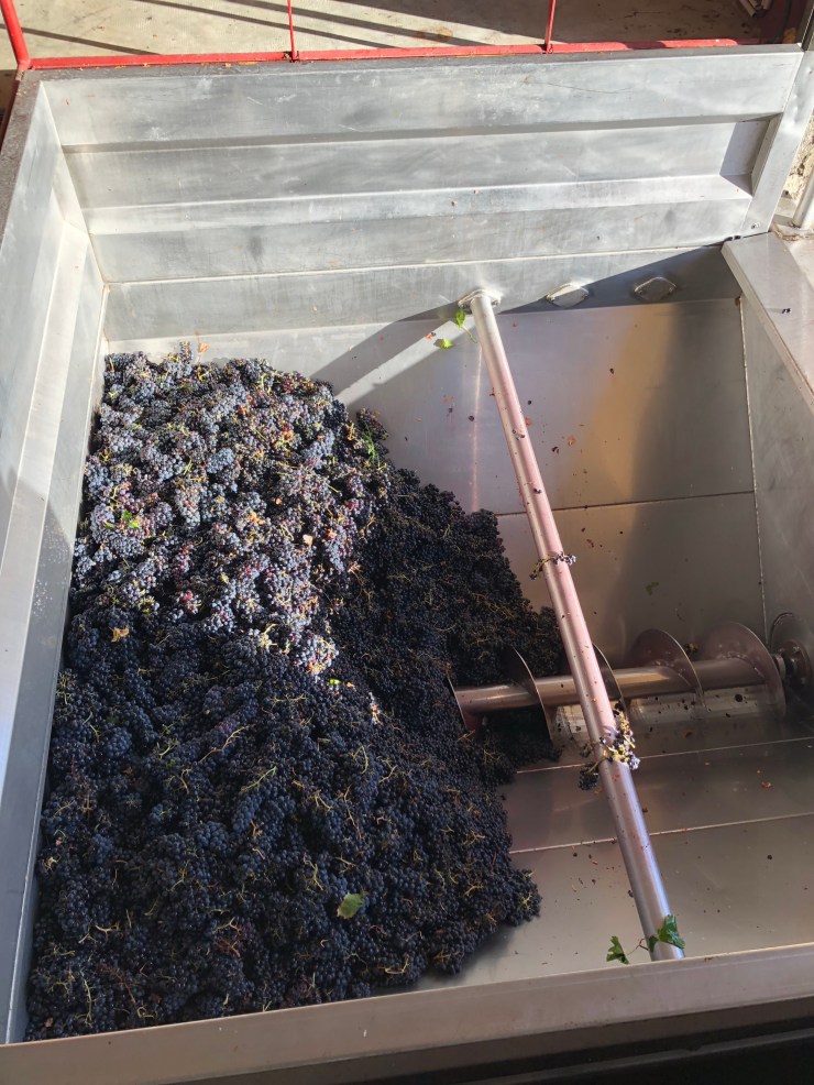 K6BMekPDQcChP3dDNdXgqw