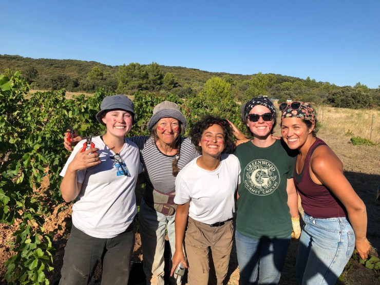 nGfQfPvQTuahCus1bdlMzg