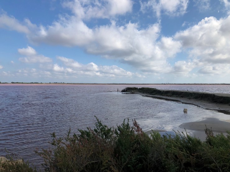 qi6Fe7wkQXW7TbeHuEcjvQ