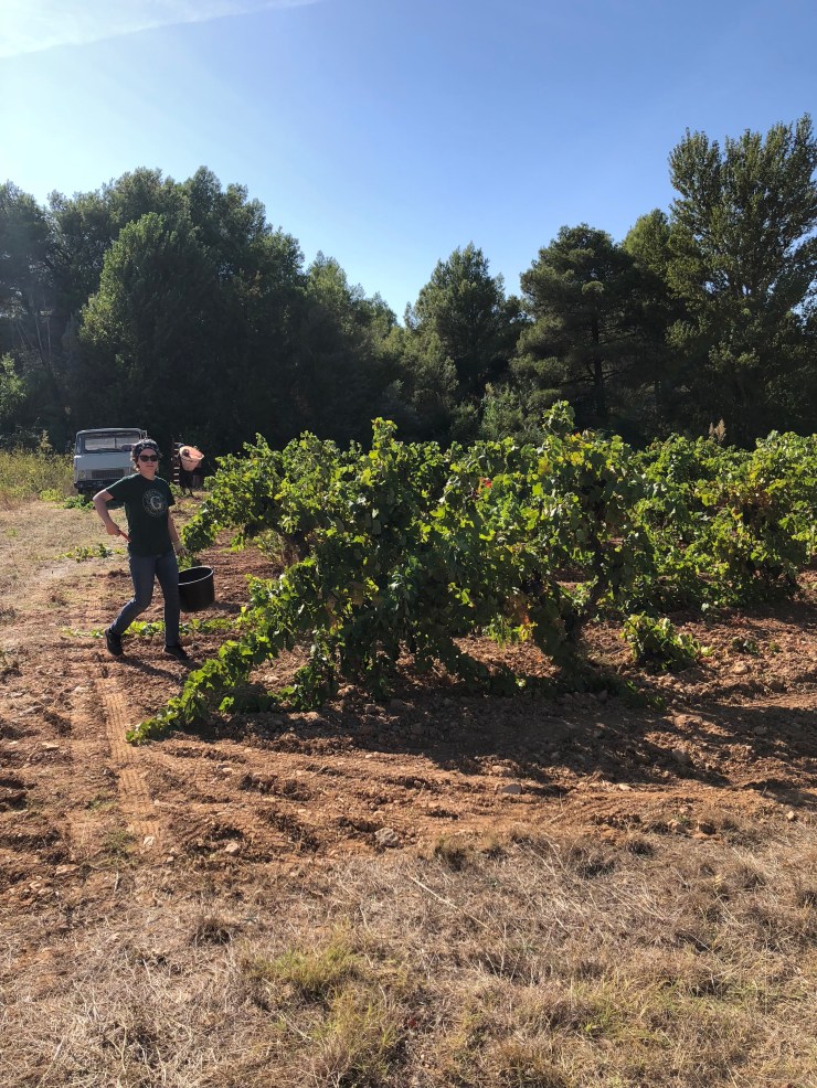 sFqIiqZmRmGUbb%njMjZeg