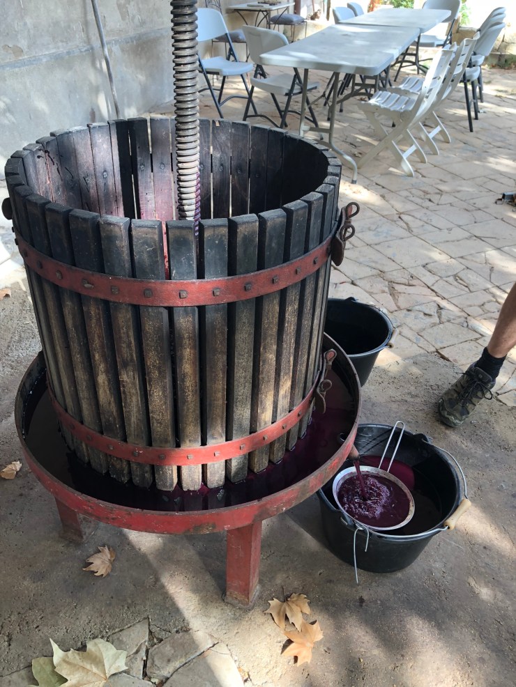 WJSP4WecTSOYSxjHcQs2Jw