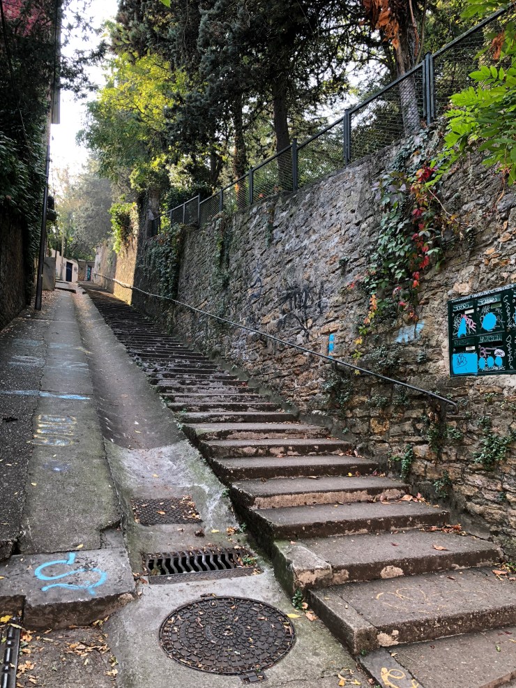 Qpl3dtGtQTCql46CZMG7Ug