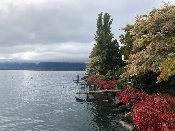 %w5zUz6XRfq9hCJI%7poUw