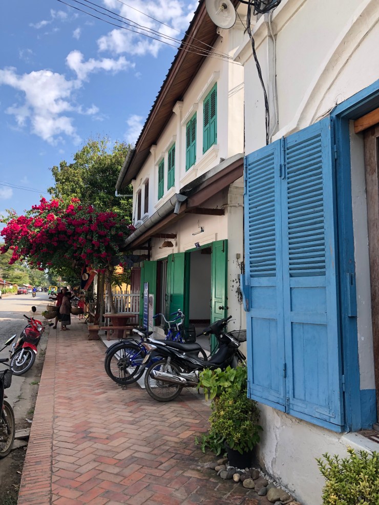 SKNBibv+SQanzaOeq9uIww