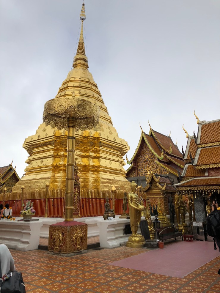 e9b5eCvyS7qFrYukDnssIA