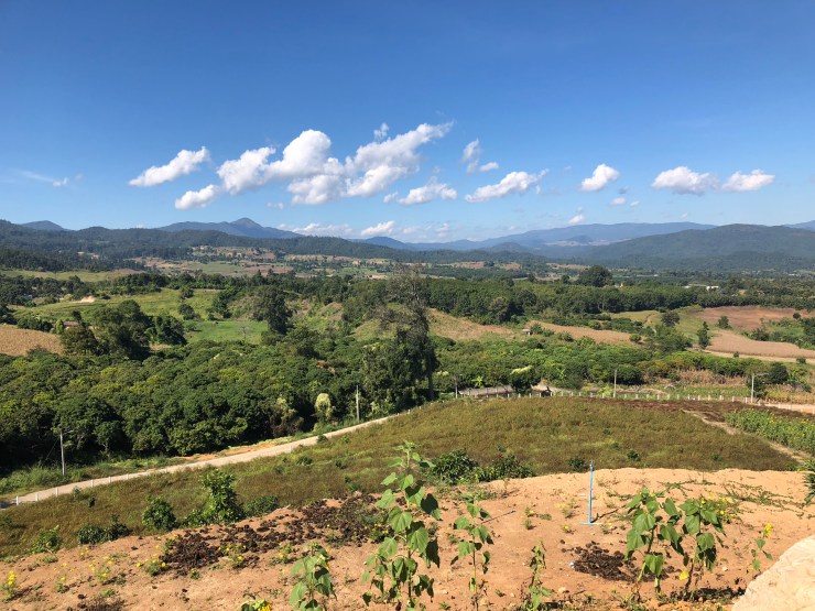 LYc0shWxQxeOTtlaVVd+nA