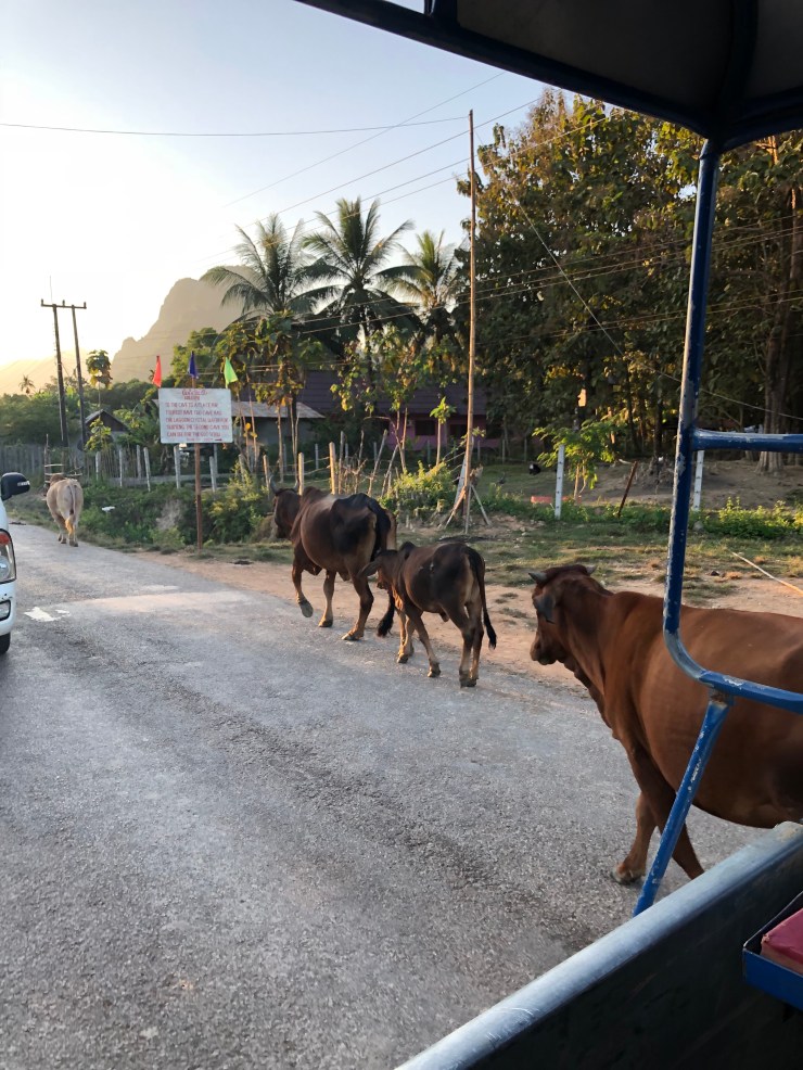 vebbi+wts1caf1z%ps0t1g