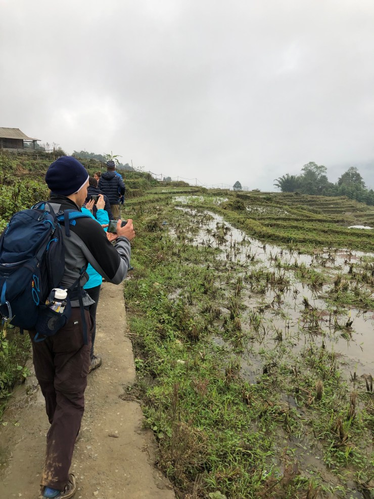 NE3hgVwgSASHhw8ex8FDgw