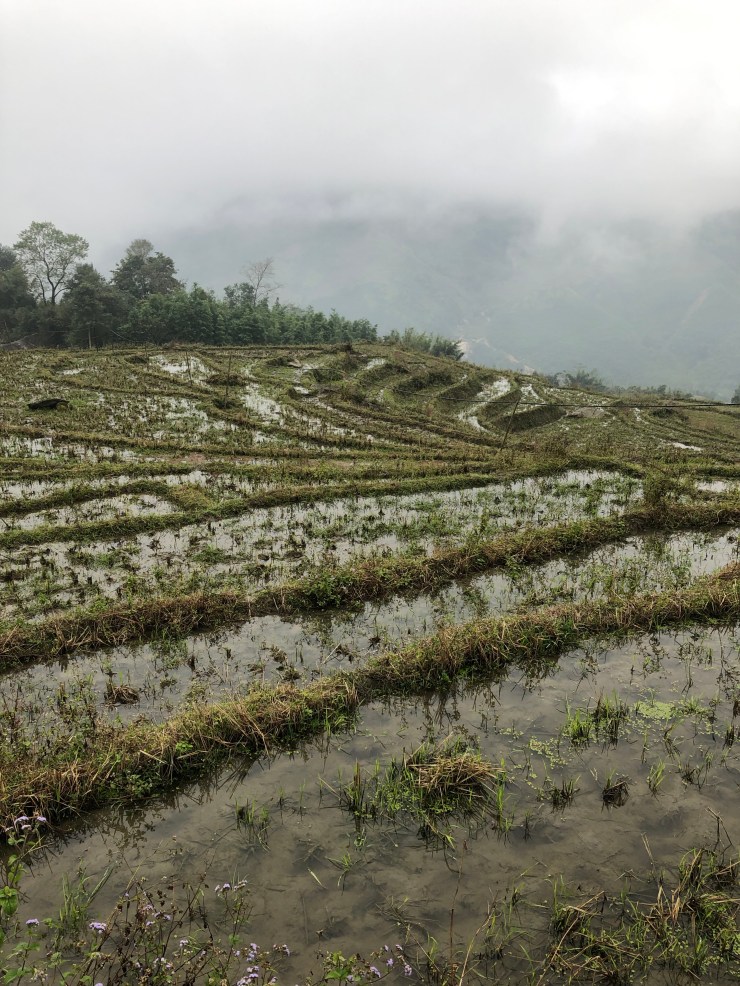 QV+v1gGzQqCfOO8k88VbOg