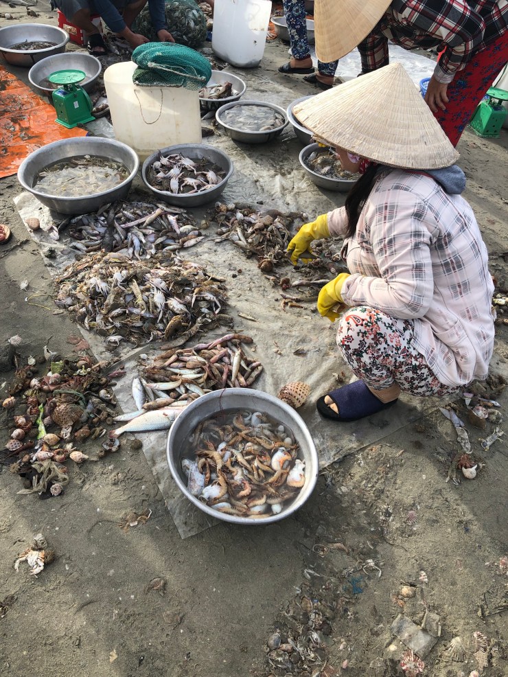 gkgEVlweRE6e4bwXk%RMCQ