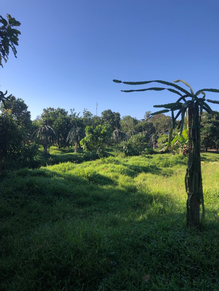 Lz8dMYgAQxSXOgrlcbvj9A