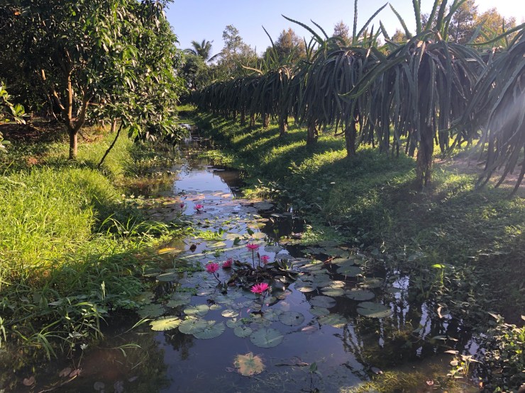 t%wL5hvATpWvPhAuDSdV6w