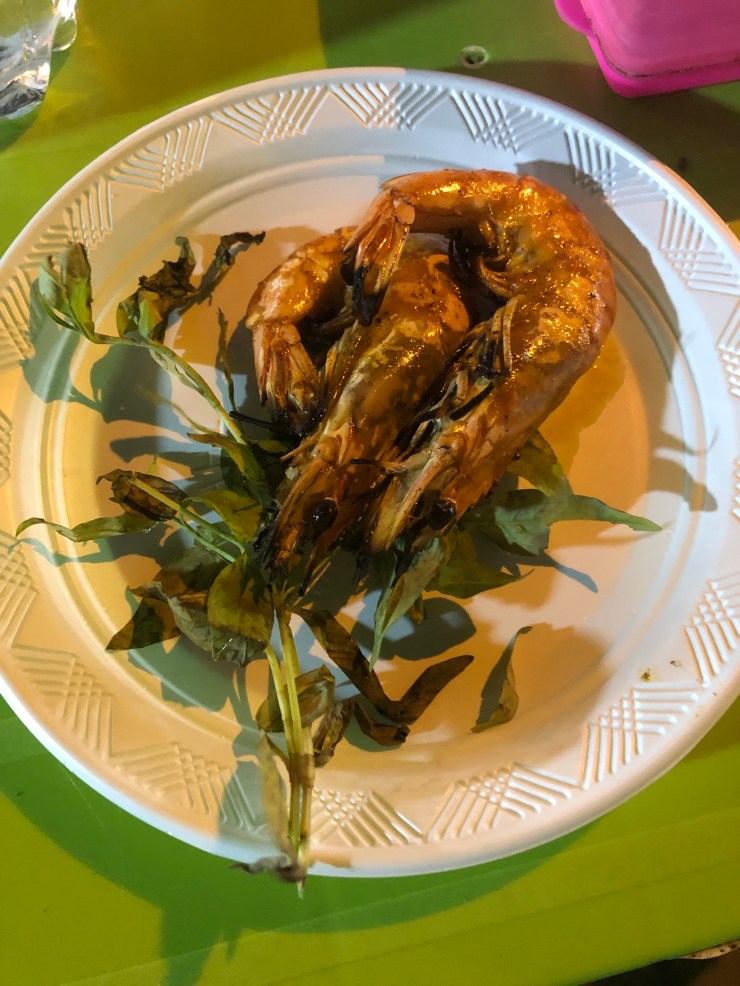 ZMX8aM+pTE+zUEpte4ueSQ