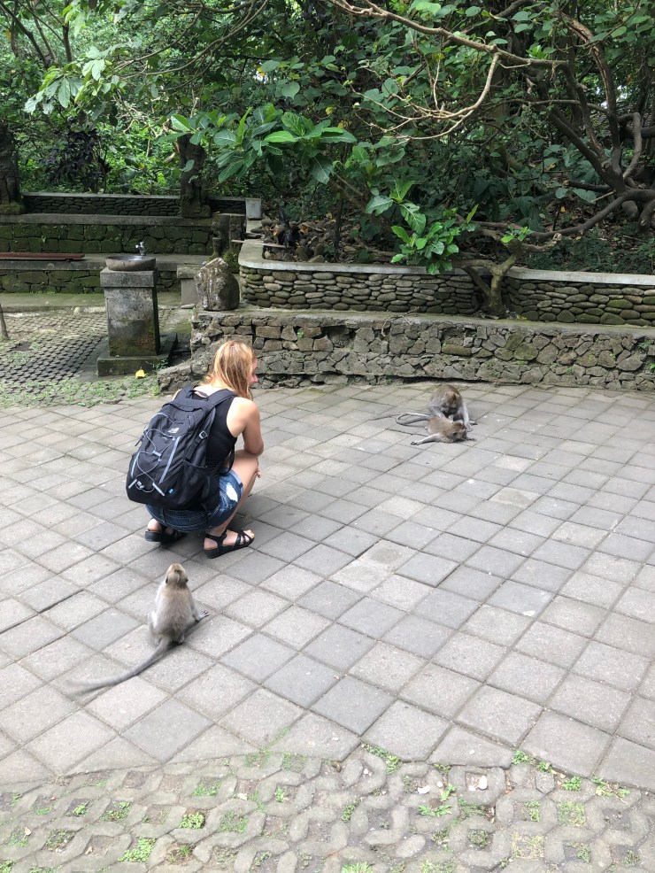 2Bvtsx16QSup0+4dlSJ73Q