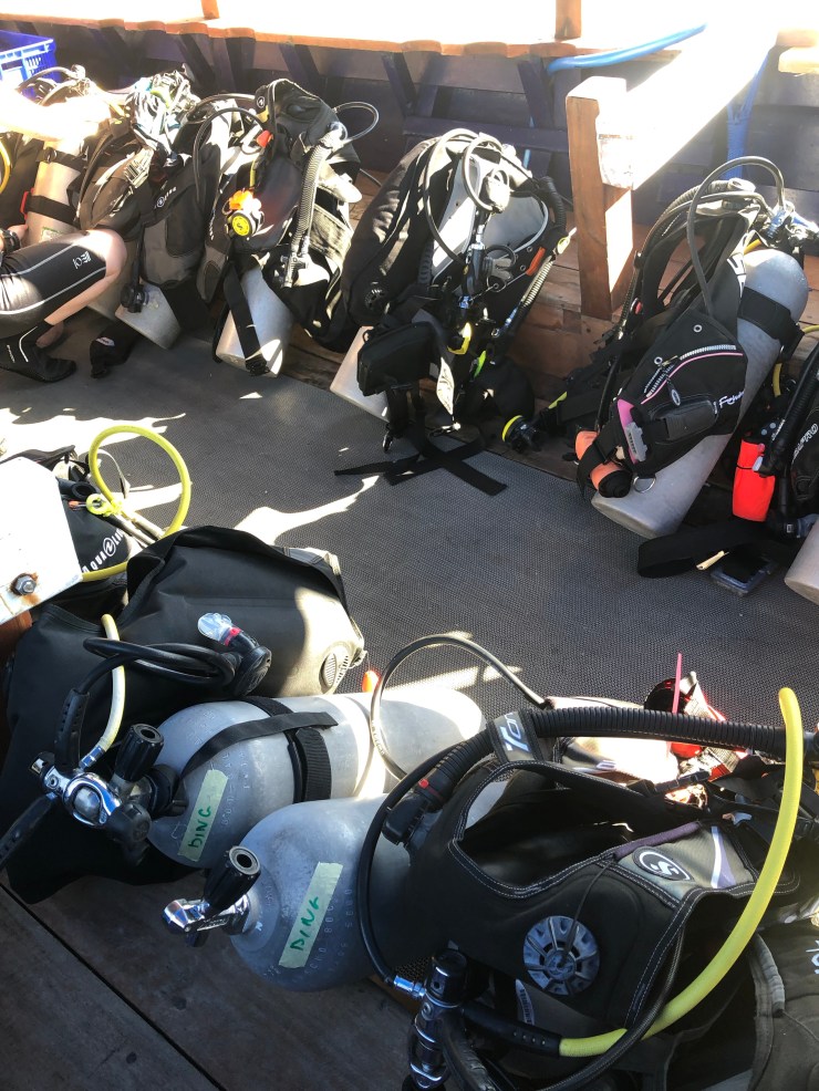 8gK7RxUqSmm99GUivn5z4A