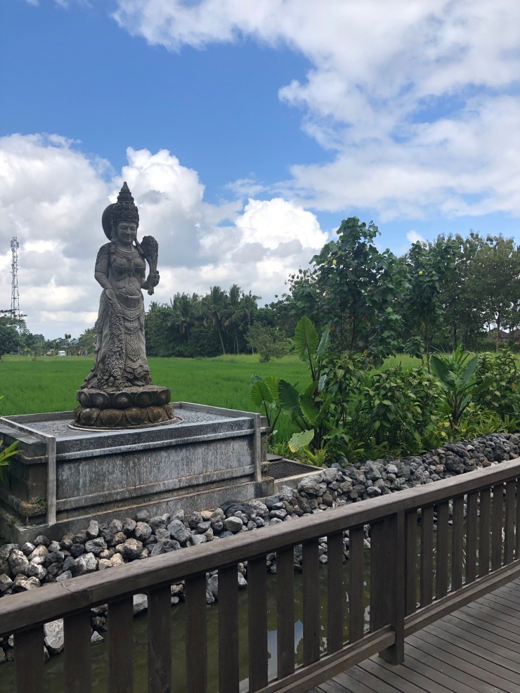 MxjQKSEeS6WiuBf3o2j8eg