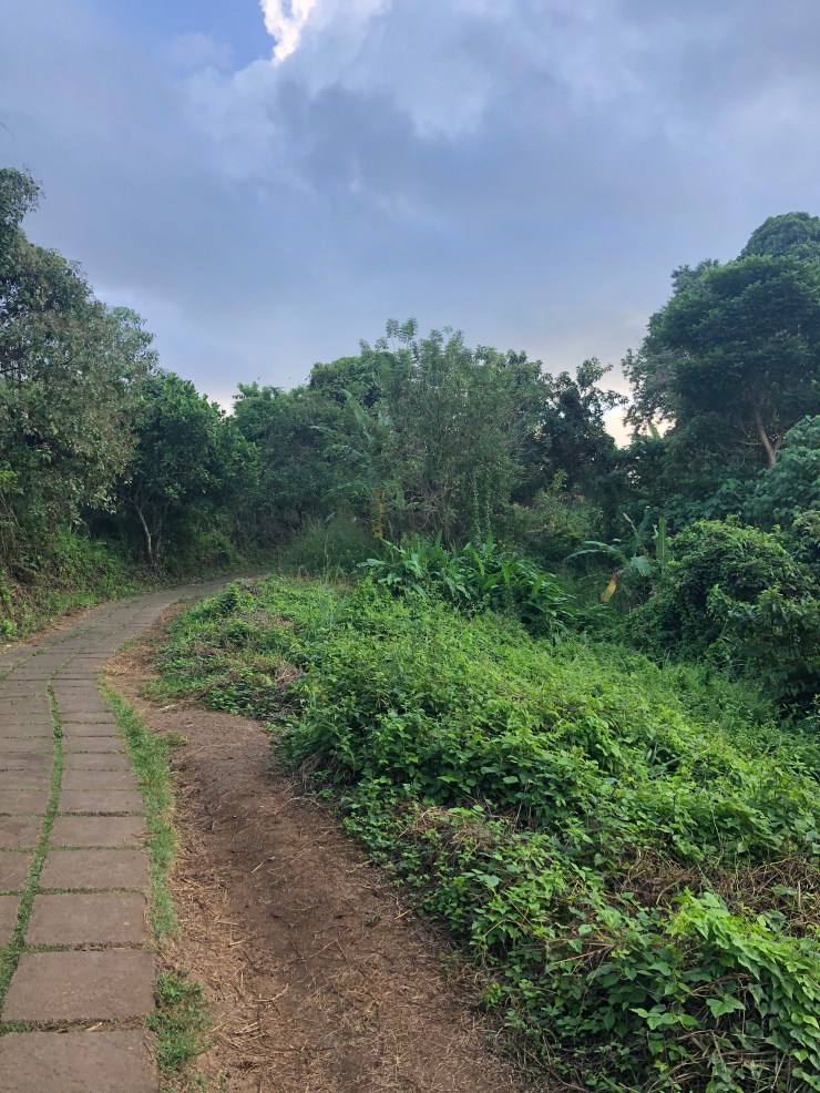 nWsNagKGSD+Ype98yGMIlA