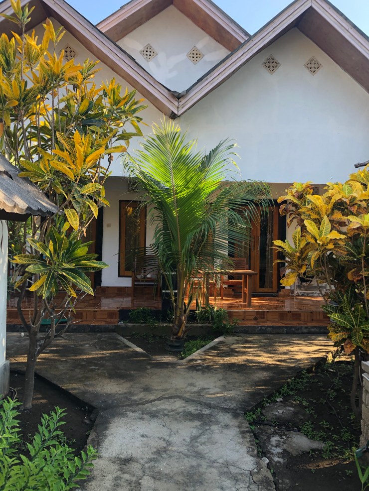 OCH2BPm8TX+ZWQfdxrIogg