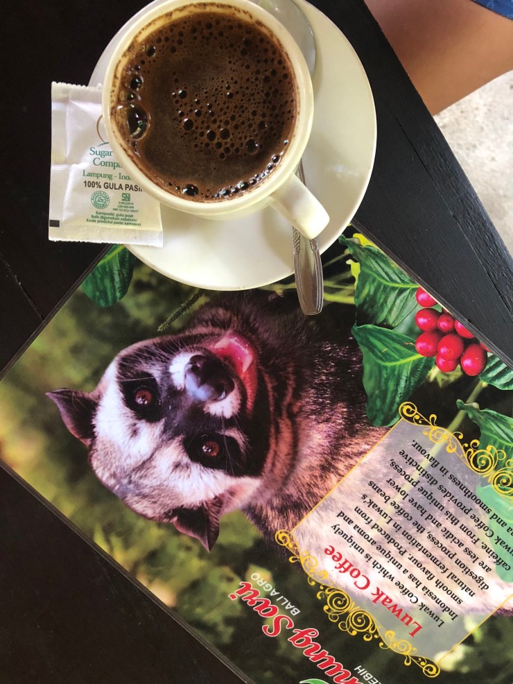 VDijHvnIQvS5x+nhudHAJw