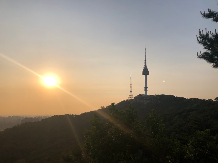 RB+6tzVxQ5G+Bh1zg+ld9A